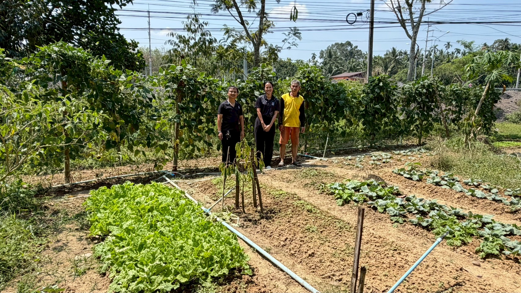 พช.จุฬาภรณ์ : ขับเคลื่อนกิจกรรมส่งเสริมครัวเรือนมีรายได้น้อย น้อมนำหลักปรัชญาเศรษฐกิจพอเพียงสู่การดำเนินชีวิต